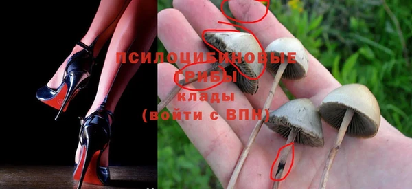 твердый Алзамай