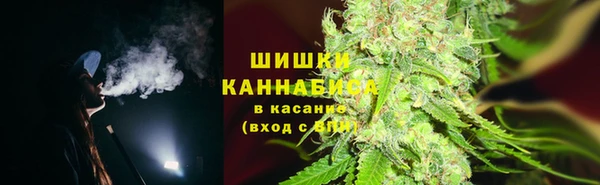 твердый Алзамай