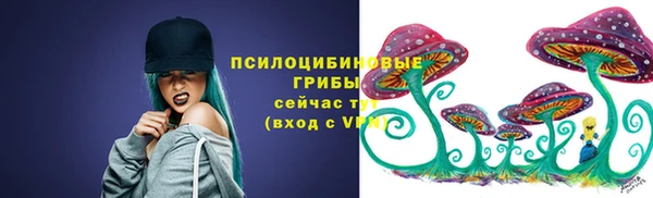 твердый Алзамай