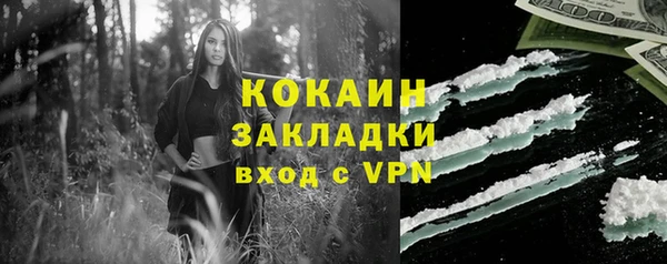 дживик Алексин