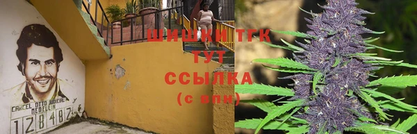 твердый Алзамай